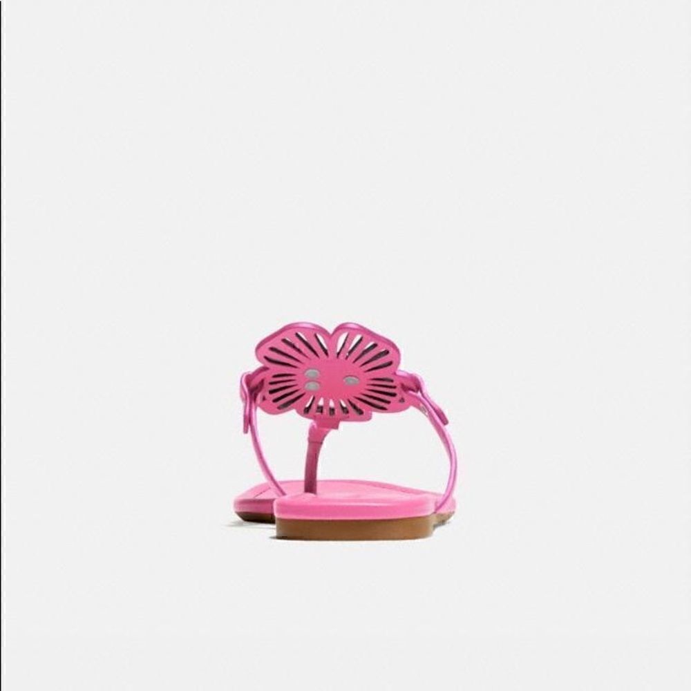 COACH JULIA SANDALS In color Petunia Pink (nib) women’s 10 - Picture 3 of 11